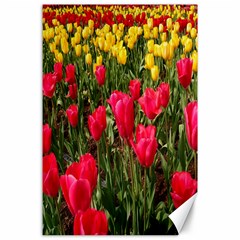 Yellow Pink Red Flowers Canvas 24  X 36  by Azkajaya