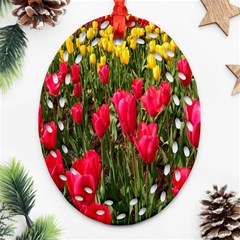 Yellow Pink Red Flowers Ornament (oval Filigree)