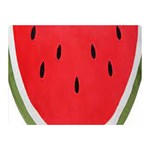 Watermelon Pillow Fluffy Two Sides Premium Plush Fleece Blanket (Mini) 35 x27  Blanket Front