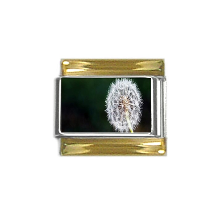 White Flower Gold Trim Italian Charm (9mm)