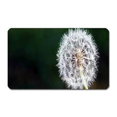 White Flower Magnet (rectangular) by Azkajaya