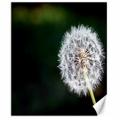 White Flower Canvas 8  X 10  by Azkajaya