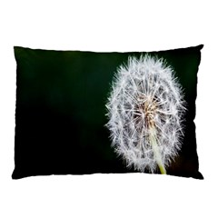 White Flower Pillow Case (two Sides) by Azkajaya