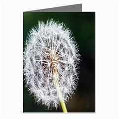 White Flower Greeting Card by Azkajaya