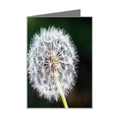 White Flower Mini Greeting Card