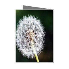 White Flower Mini Greeting Cards (pkg Of 8) by Azkajaya