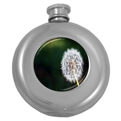 White Flower Round Hip Flask (5 Oz) by Azkajaya