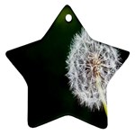 White Flower Star Ornament (Two Sides) Front