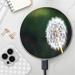 White Flower Wireless Fast Charger(white) by Azkajaya