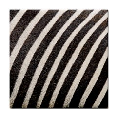 Zebra Zebra Pattern Zebra Fur Zebra Print Strip Tile Coaster