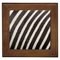 Zebra Zebra Pattern Zebra Fur Zebra Print Strip Framed Tile by Azkajaya