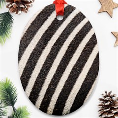 Zebra Zebra Pattern Zebra Fur Zebra Print Strip Ornament (oval)