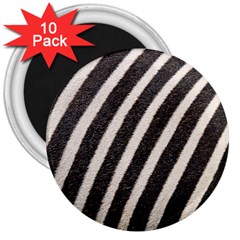 Zebra Zebra Pattern Zebra Fur Zebra Print Strip 3  Magnets (10 Pack)  by Azkajaya