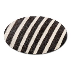 Zebra Zebra Pattern Zebra Fur Zebra Print Strip Oval Magnet