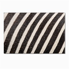 Zebra Zebra Pattern Zebra Fur Zebra Print Strip Postcards 5  X 7  (pkg Of 10) by Azkajaya