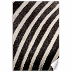 Zebra Zebra Pattern Zebra Fur Zebra Print Strip Canvas 24  X 36  by Azkajaya