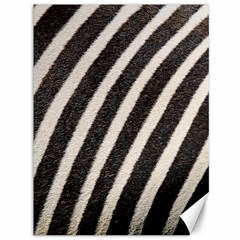 Zebra Zebra Pattern Zebra Fur Zebra Print Strip Canvas 36  x 48 