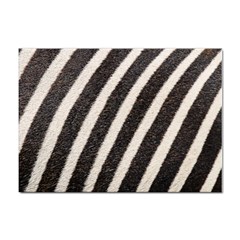 Zebra Zebra Pattern Zebra Fur Zebra Print Strip Sticker A4 (10 Pack) by Azkajaya