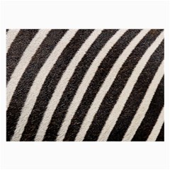 Zebra Zebra Pattern Zebra Fur Zebra Print Strip Large Glasses Cloth