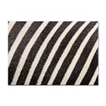 Zebra Zebra Pattern Zebra Fur Zebra Print Strip Sticker A4 (100 pack) Front