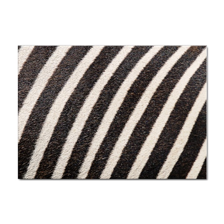 Zebra Zebra Pattern Zebra Fur Zebra Print Strip Sticker A4 (100 pack)