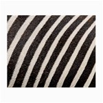 Zebra Zebra Pattern Zebra Fur Zebra Print Strip Small Glasses Cloth Front