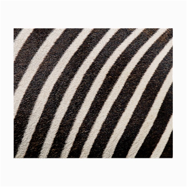 Zebra Zebra Pattern Zebra Fur Zebra Print Strip Small Glasses Cloth