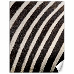 Zebra Zebra Pattern Zebra Fur Zebra Print Strip Canvas 12  X 16  by Azkajaya