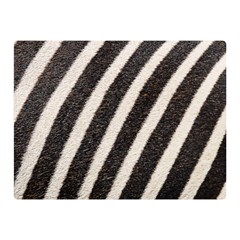 Zebra Zebra Pattern Zebra Fur Zebra Print Strip Two Sides Premium Plush Fleece Blanket (Mini)