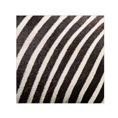 Zebra Zebra Pattern Zebra Fur Zebra Print Strip Square Satin Scarf (30  x 30 )