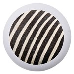 Zebra Zebra Pattern Zebra Fur Zebra Print Strip Dento Box with Mirror Front