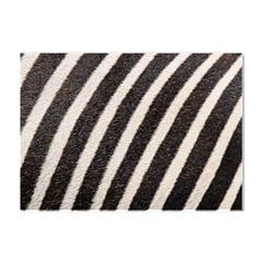 Zebra Zebra Pattern Zebra Fur Zebra Print Strip Crystal Sticker (A4)