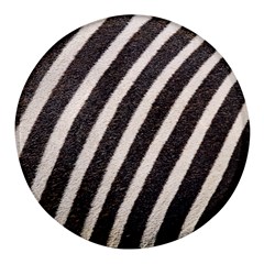 Zebra Zebra Pattern Zebra Fur Zebra Print Strip Round Glass Fridge Magnet (4 Pack) by Azkajaya