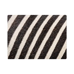 Zebra Zebra Pattern Zebra Fur Zebra Print Strip Premium Plush Fleece Blanket (mini) by Azkajaya