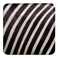 Zebra Zebra Pattern Zebra Fur Zebra Print Strip Square Glass Fridge Magnet (4 Pack) by Azkajaya