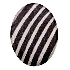 Zebra Zebra Pattern Zebra Fur Zebra Print Strip Oval Glass Fridge Magnet (4 Pack)