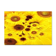 Beautiful Sunflowers Sticker A4 (10 Pack) by Ket1n9