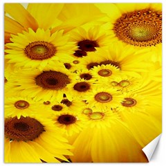 Beautiful Sunflowers Canvas 20  X 20 