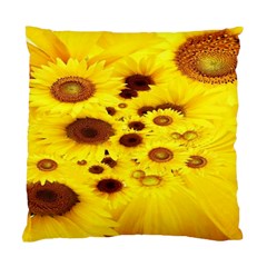 Beautiful Sunflowers Standard Cushion Case (one Side)