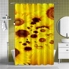 Beautiful Sunflowers Shower Curtain 48  X 72  (small)  by Ket1n9