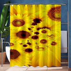 Beautiful Sunflowers Shower Curtain 60  X 72  (medium)  by Ket1n9