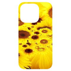 Beautiful Sunflowers Iphone 14 Pro Black Uv Print Case by Ket1n9