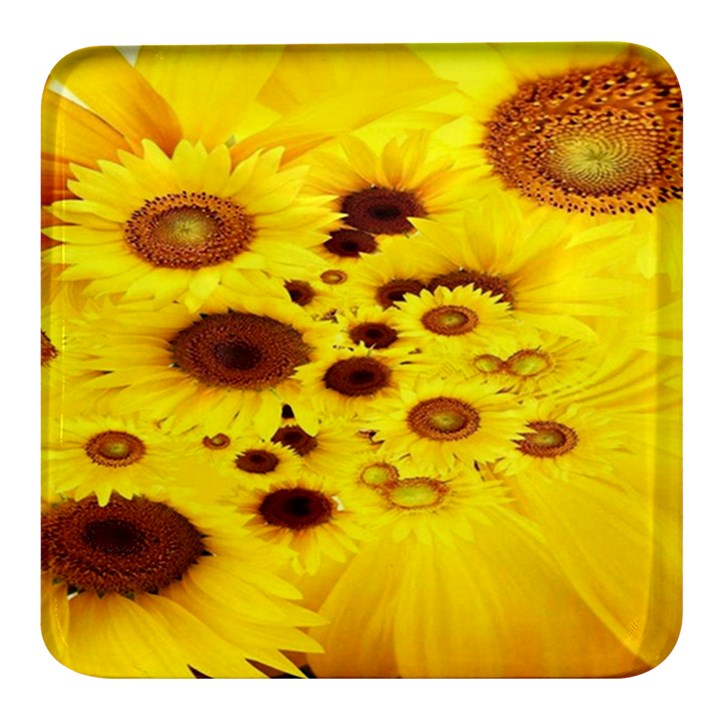 Beautiful Sunflowers Square Glass Fridge Magnet (4 pack)