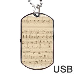 Vintage Beige Music Notes Dog Tag Usb Flash (two Sides) by Loisa77