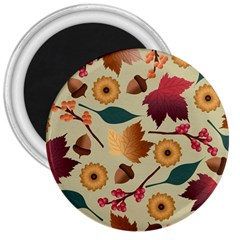 Autumn Leaves Autumn Colour Season 3  Magnets