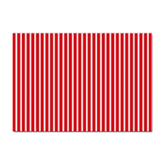 Strip Red White Pattern Sticker A4 (100 Pack) by Loisa77