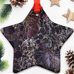 Grapevine Symphony Print Pattern Bk Ornament (star)