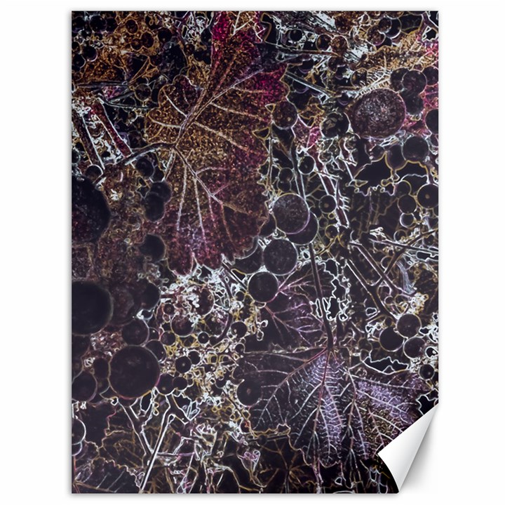 Grapevine Symphony Print Pattern Bk Canvas 36  x 48 