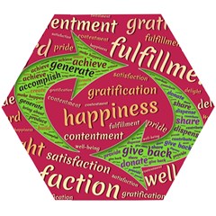 Fulfillment Satisfaction Happiness Wooden Puzzle Hexagon by Paksenen