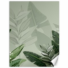 Banana Leaf Plant Pattern Canvas 36  X 48  by anzea